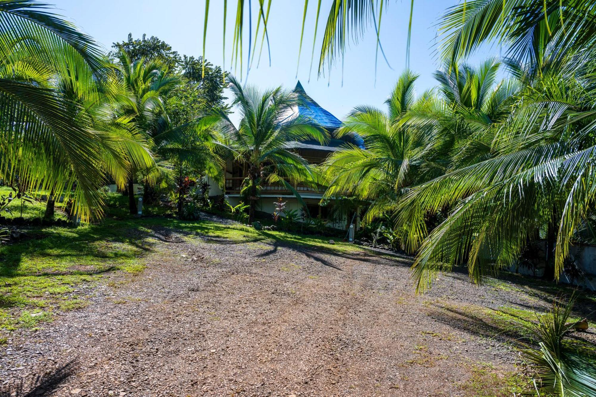 Eco-Lodge Deseo Bamboo Santa Catalina Kültér fotó