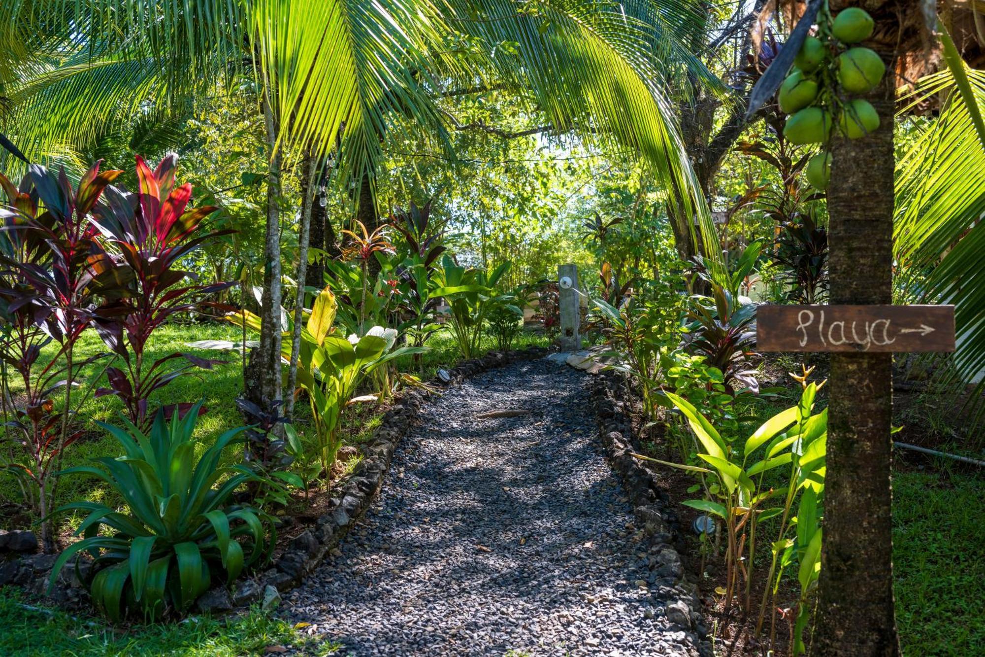 Eco-Lodge Deseo Bamboo Santa Catalina Kültér fotó