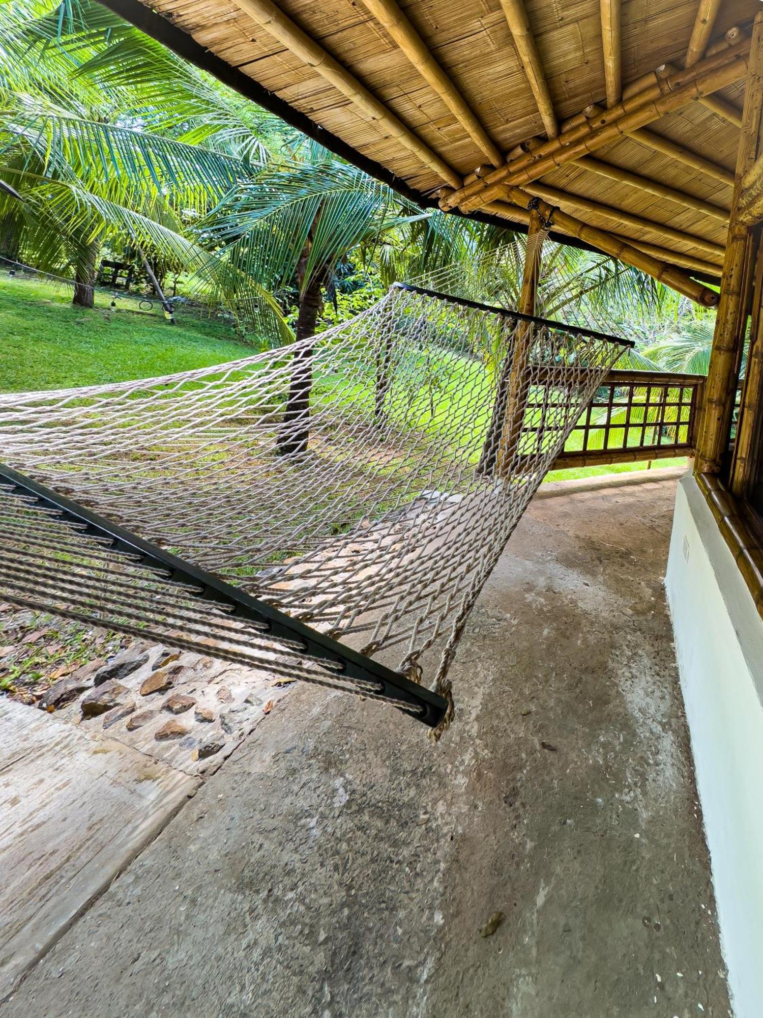 Eco-Lodge Deseo Bamboo Santa Catalina Kültér fotó