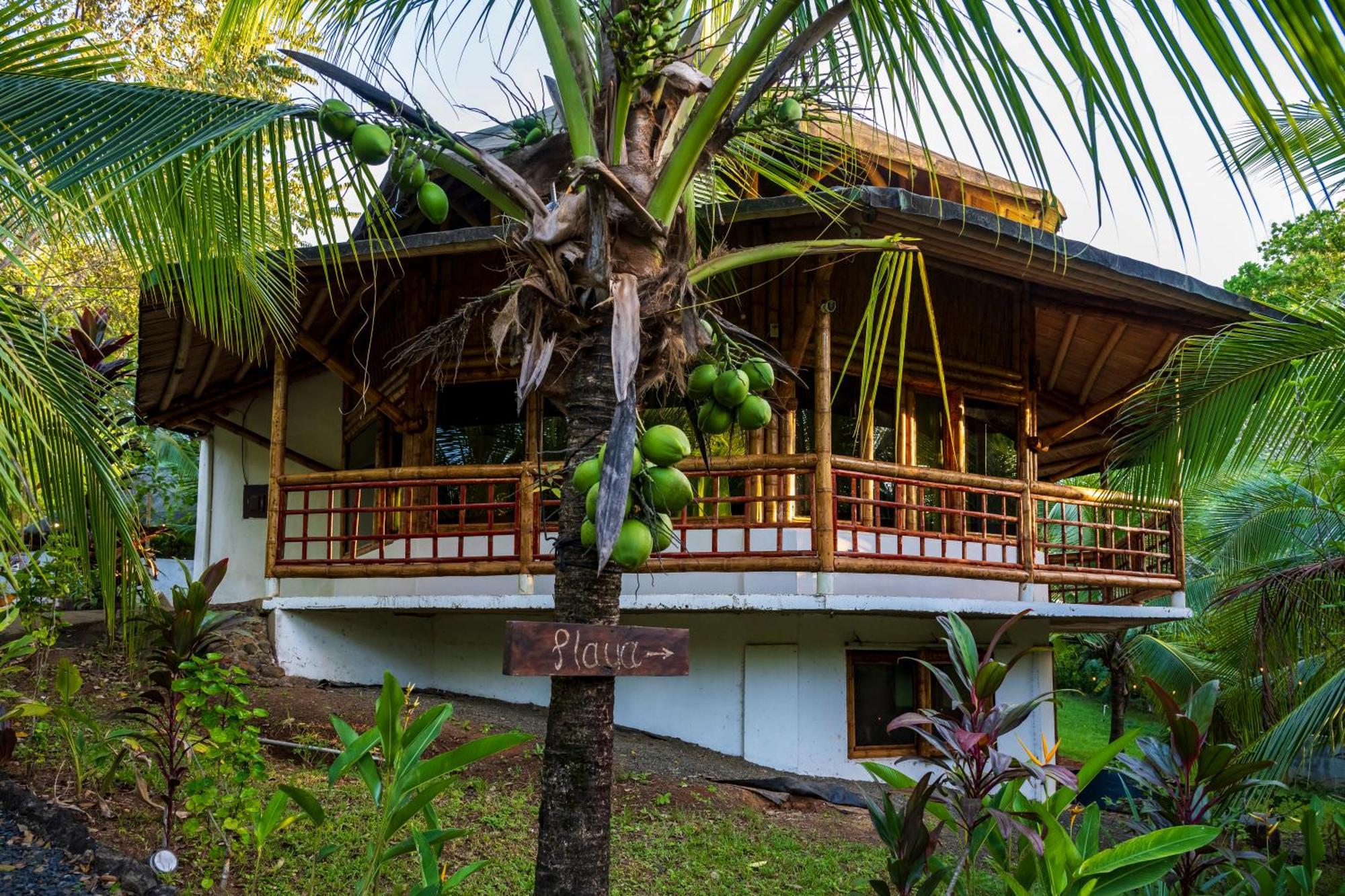 Eco-Lodge Deseo Bamboo Santa Catalina Kültér fotó