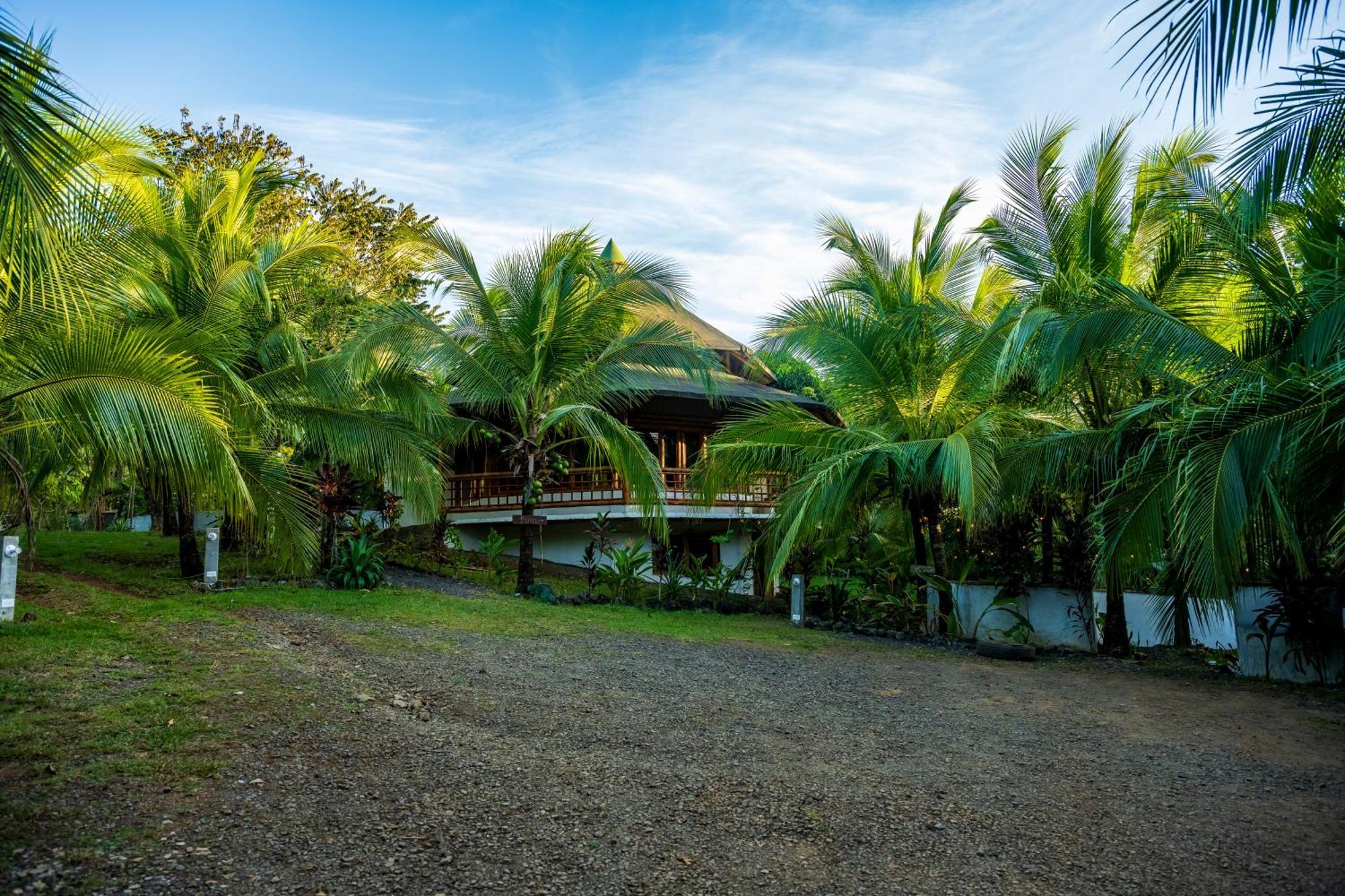 Eco-Lodge Deseo Bamboo Santa Catalina Kültér fotó