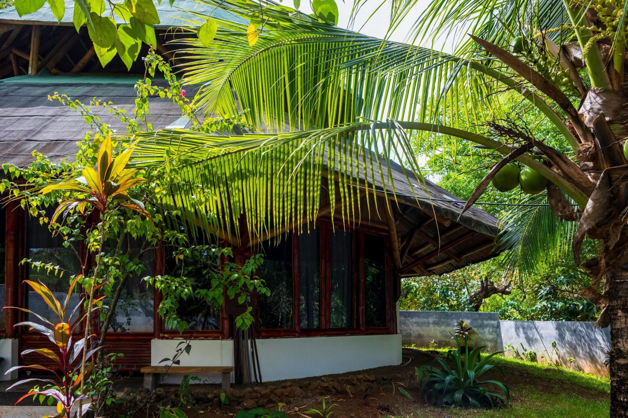 Eco-Lodge Deseo Bamboo Santa Catalina Kültér fotó