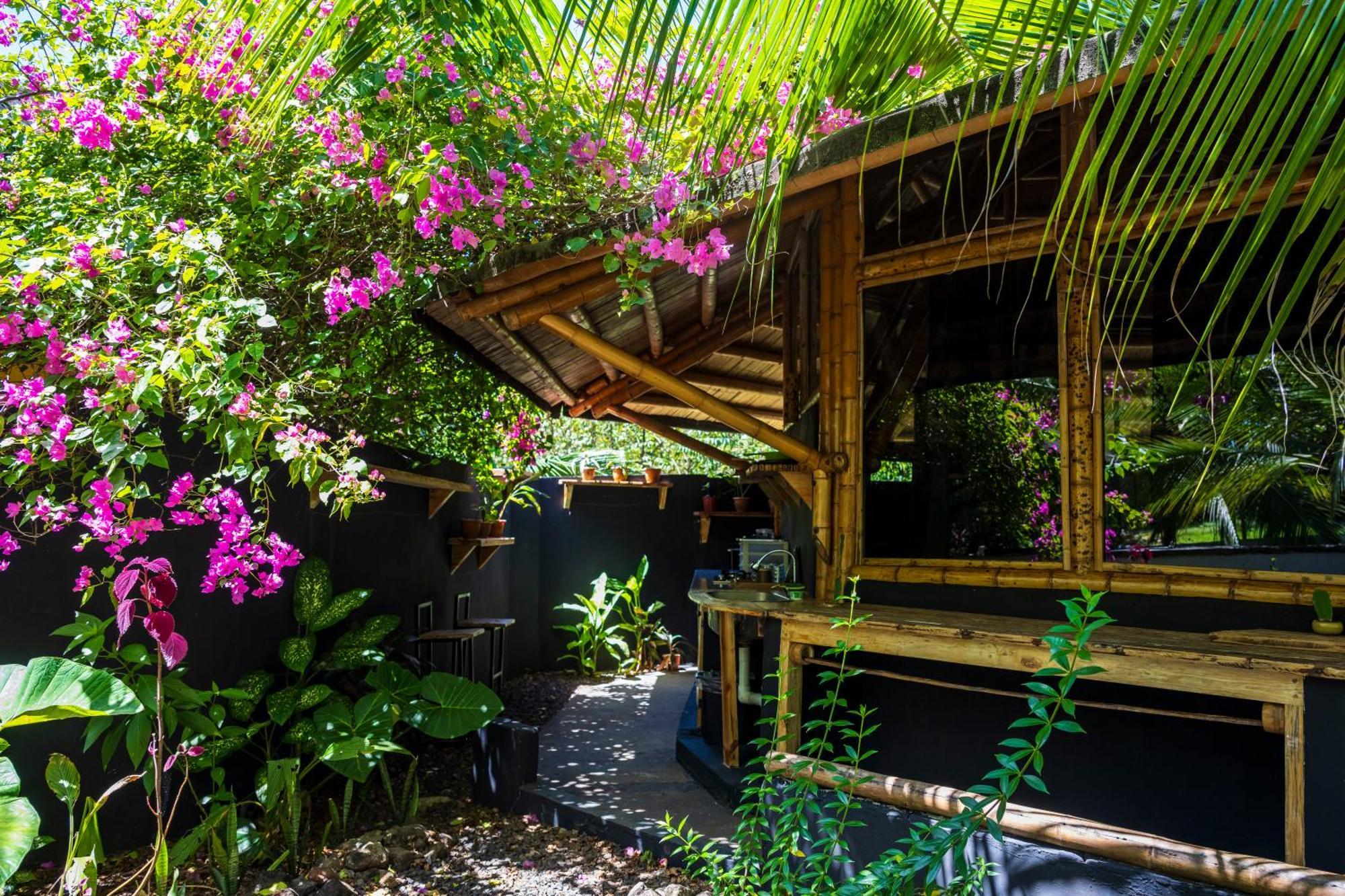 Eco-Lodge Deseo Bamboo Santa Catalina Kültér fotó